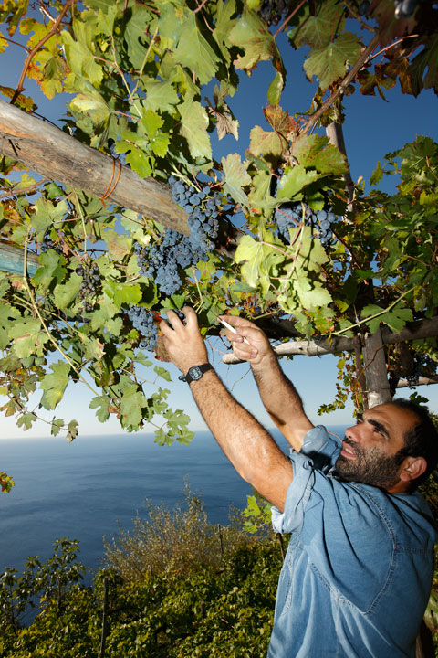 Amalfi-Winetasting-1