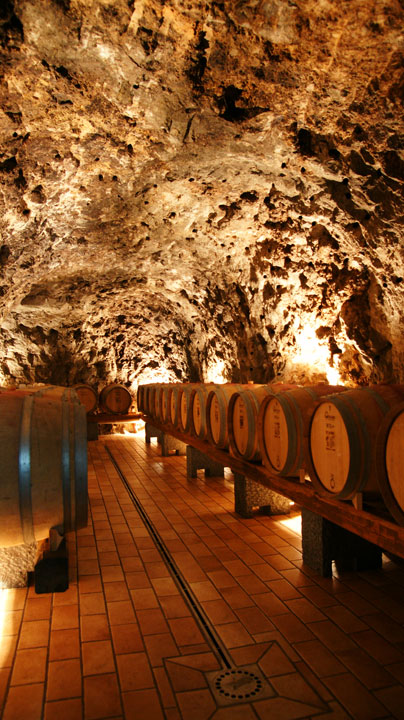 Amalfi-Winetasting-2