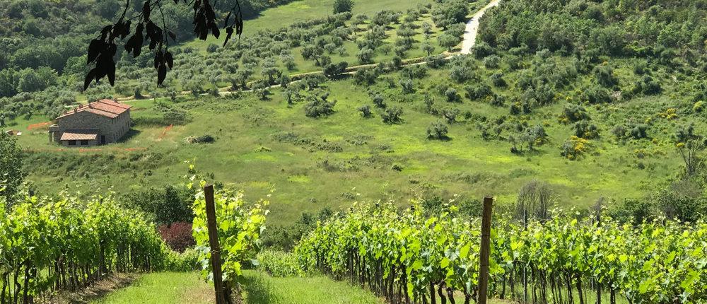 umbria